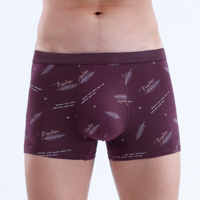 Men's Cotton U-convex Boxers