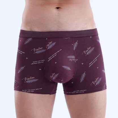 Men's Cotton U-convex Boxers